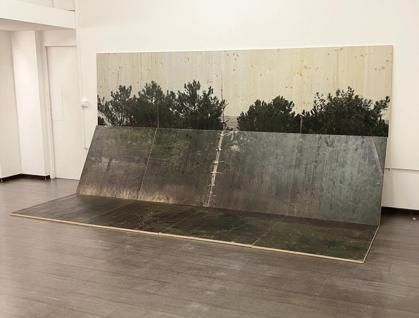 Grande image d’épicéas imprimée sur panneaux de bois, pliée entre le mur et le sol