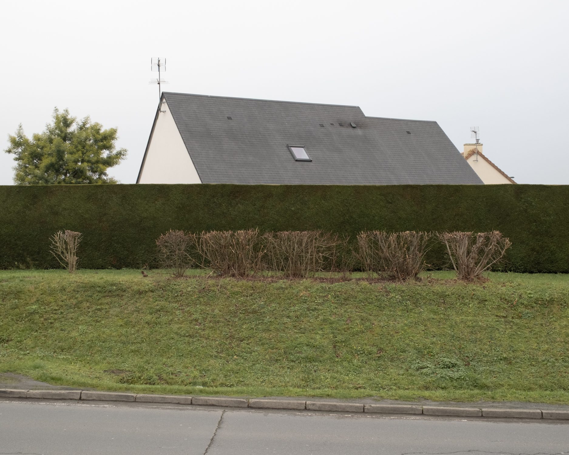Toit de maison dépassant d’une haie taillée