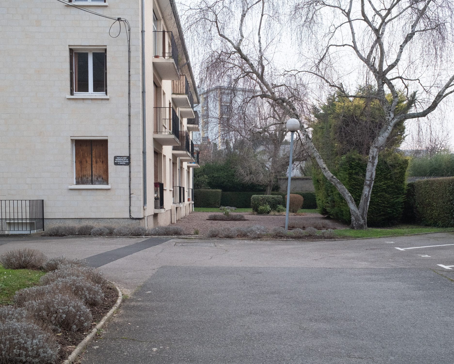 Pied d’immeuble et arbre nu