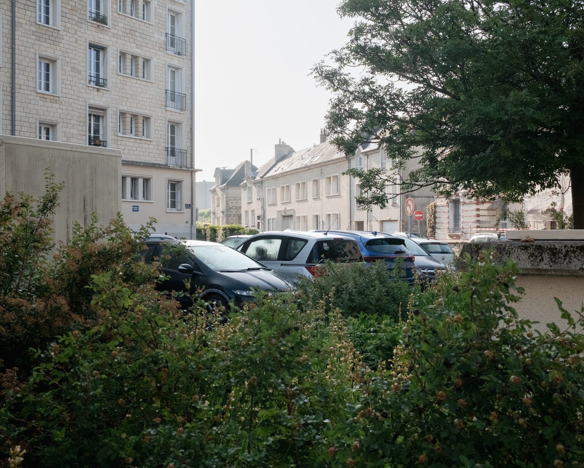 Allée et saule pleureur devant des immeubles