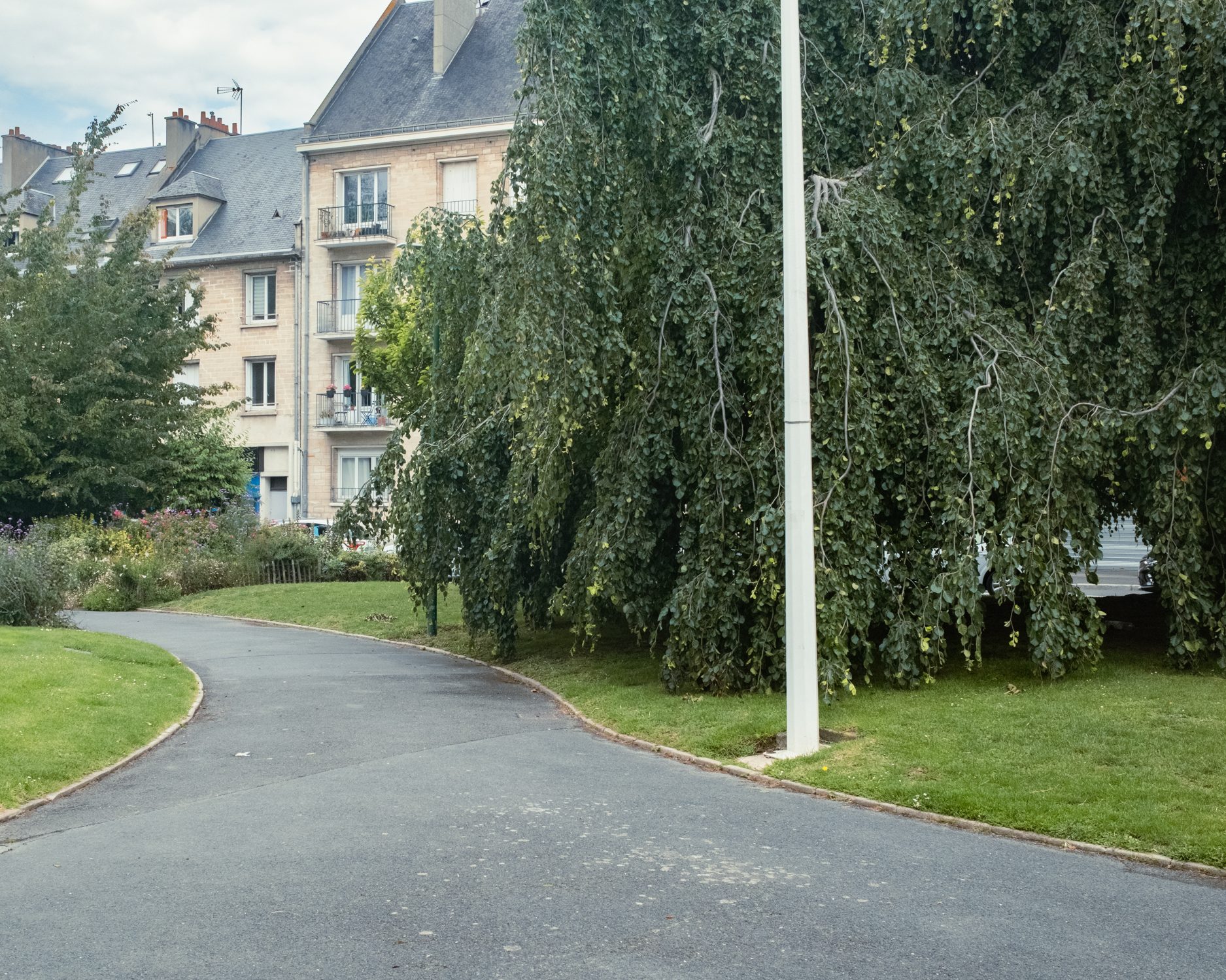 Trottoir entre une voiture et une haie dans la brume