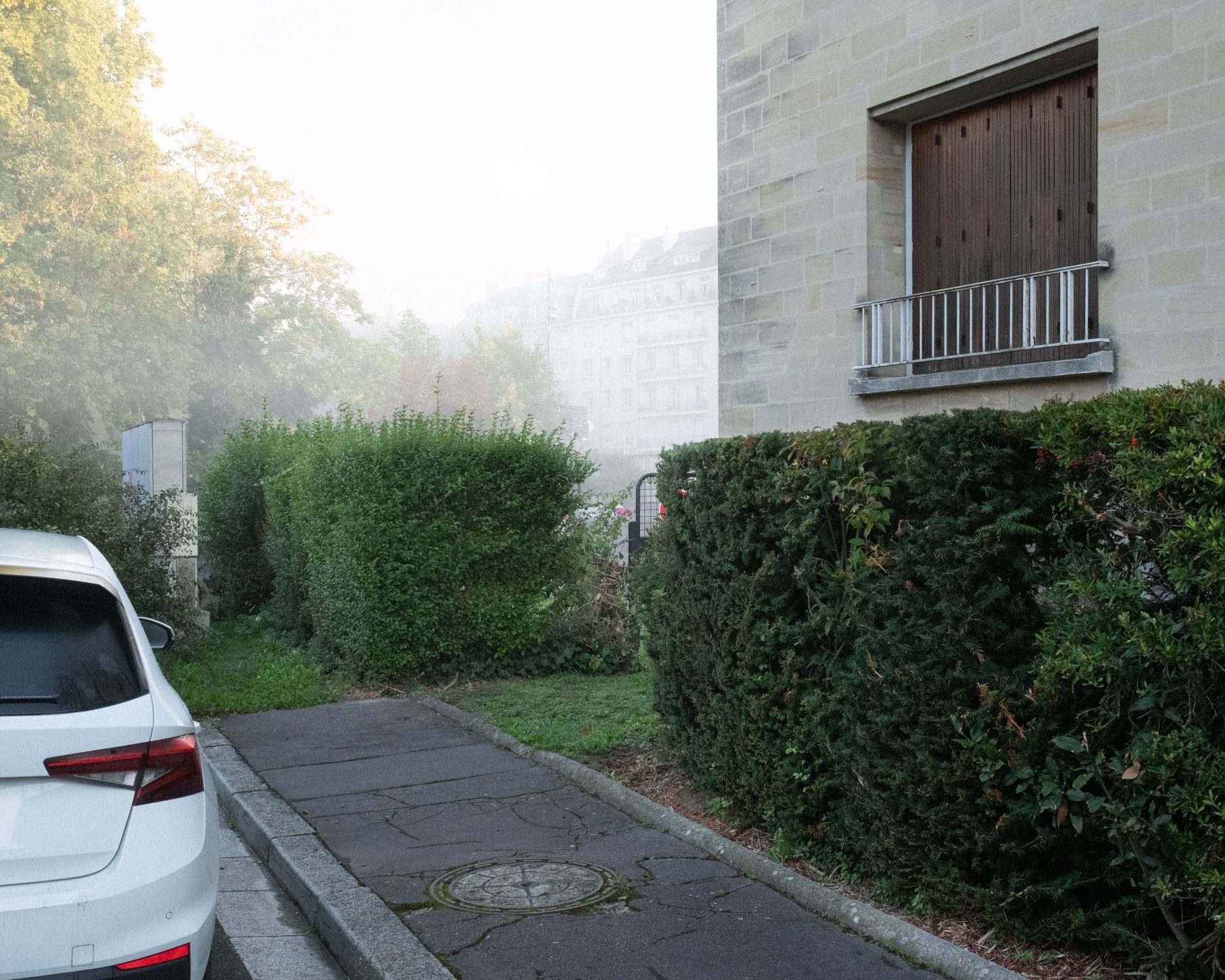 Voitures garées derrière des buissons